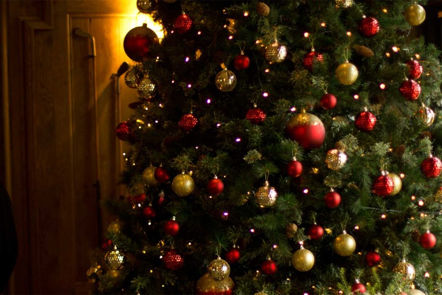 Christmas 2020 Message from the Party Leader